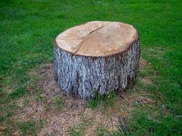 Lakeview, OR Tree Care Company